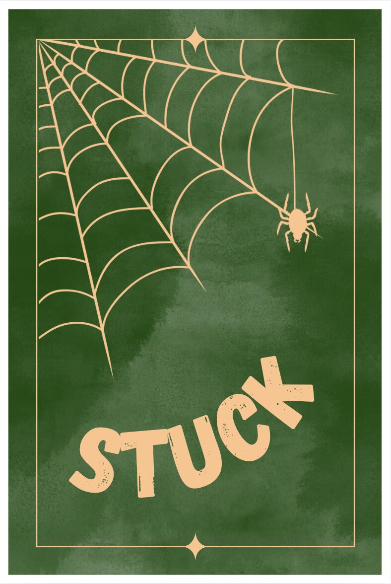 Illustration der Tierkarte SPINNE